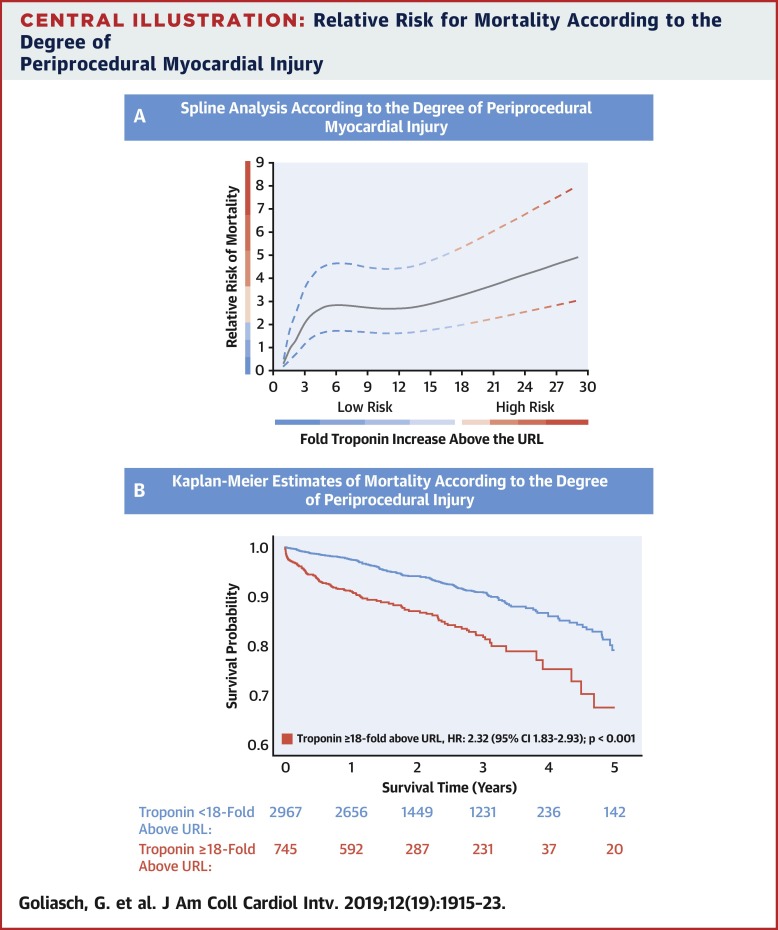 A Contemporary Definition Of Periprocedural Myocardial Injury After ...