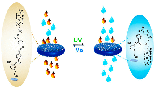 Stimulus-Responsive Biopolymeric Surface: Molecular Switches for Oil ...