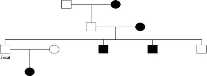 工业化和非工业化社会中的惯用手遗传 Heredity X Mol