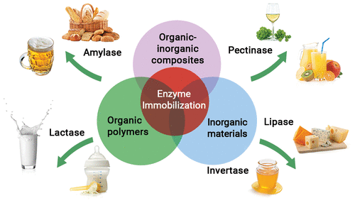 Application Of Immobilized Enzymes In Food Industry Journal Of Agricultural And Food Chemistry X Mol