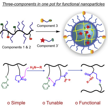 Three-Component Sequential Reactions For Polymeric Nanoparticles With ...