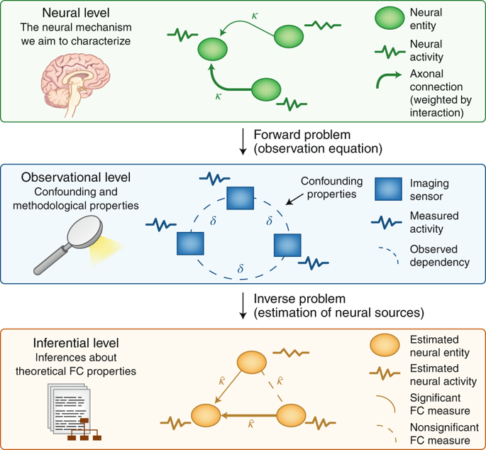 Advancing Functional Connectivity Research From Association To ...