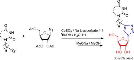 Synthesis Of Novel 1 2 3 Triazolyl Nucleoside Analogues Bearing Uracil 6 Methyluracil 3 6 Dimethyluracil Thymine And Quinazoline 2 4 Dione Moieties Tetrahedron Letters X Mol