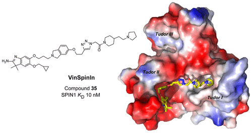 A Chemical Probe For Tudor Domain Protein Spindlin1 To Investigate Chromatin Function J Med Chem X Mol