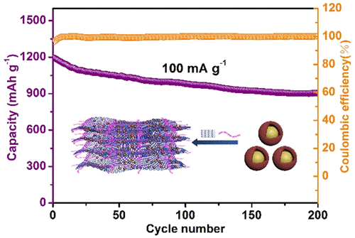 Unique Flexible Nife2o4 S Rgo Cnt Electrode Via The Synergistic Adsorption Electrocatalysis Effect Toward High Performance Lithium Sulfur Batteries The Journal Of Physical Chemistry Letters X Mol