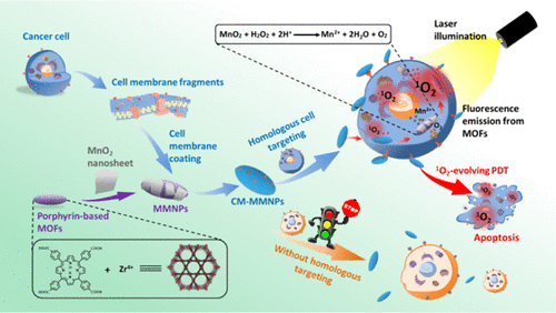 Cell Membrane-Coated Porphyrin Metal–Organic Frameworks for Cancer Cell ...