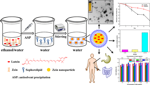 Lutein solubility in water