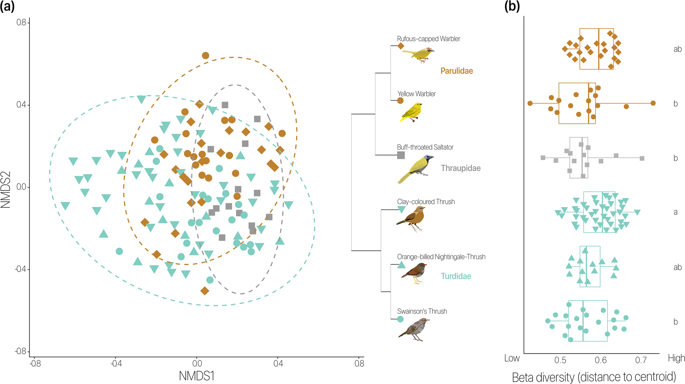 Land-use Change Has Host-specific Influences On Avian Gut Microbiomes ...