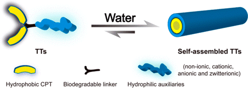 一类喜树碱类似物大环化成管状超分子聚合物 Journal Of The American Chemical Society X Mol