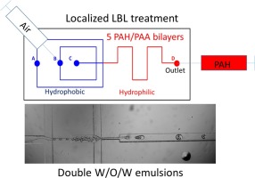 Polyelectrolytes Layer By Layer Surface Modification Of Pdms Microchips For The Production Of Simple O W And Double W O W Emulsions From Global To Localized Treatment Chemical Engineering And Processing Process Intensification X Mol