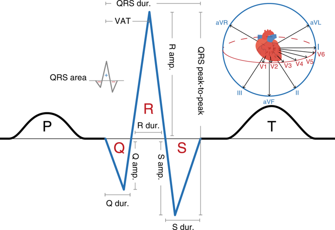 Sequence Variants With Large Effects On Cardiac Electrophysiology And Disease Nature Communications X Mol