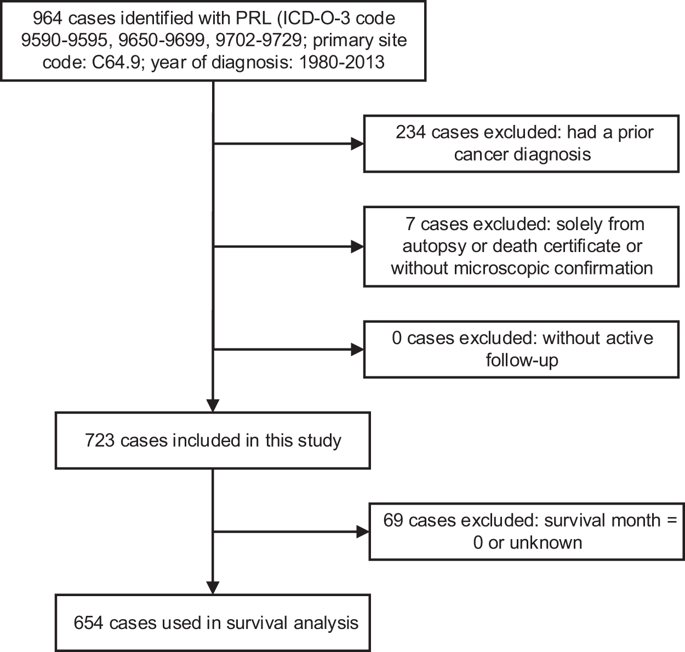 Primary Renal Lymphoma A Population Based Study In The United States 1980 13 Sci Rep X Mol