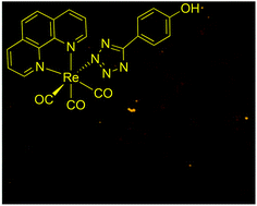 Photophysical And Biological Investigation Of Phenol Substituted Rhenium Tetrazolato Complexes Dalton Transactions X Mol