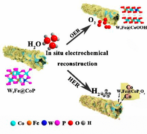 Modulating Electronic Structure Of Cobalt Phosphide Precatalysts Via ...