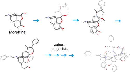 Toward a Universal Agonist Template for Template Based Alignment