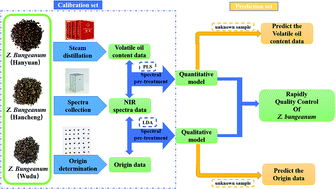 Geographical Origin Discrimination And Volatile Oil Quantitative Analysis Of Zanthoxylum Bungeanum Maxim With A Portable Near Infrared Spectrometer Analytical Methods X Mol