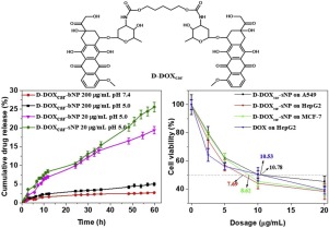 Doxorubicin-doxorubicin Conjugate Prodrug As Drug Self-delivery System ...