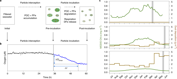 Resupply Of Mesopelagic Dissolved Iron Controlled By Particulate Iron Composition Nature Geoscience X Mol