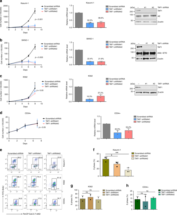 Taf1 Plays A Critical Role In Aml1 Eto Driven Leukemogenesis Nature Communications X Mol