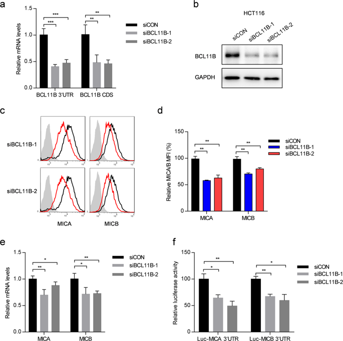 BCL11B Regulates MICA/B-mediated Immune Response By Acting As A ...