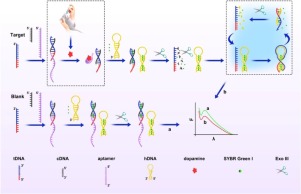 A Novel Label-free Fluorescence Aptasensor For Dopamine Detection Based ...