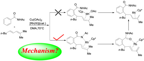 Dft Study On The Rhodium Catalyzed Oxidative C H Allylation Of Benzamides With 1 3 Dienes By Ally To Ally 1 4 Rh Iii Migration Journal Of Organometallic Chemistry X Mol