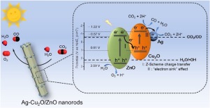 Boosting The Activity And Stability Of Ag-Cu2O/ZnO Nanorods For ...