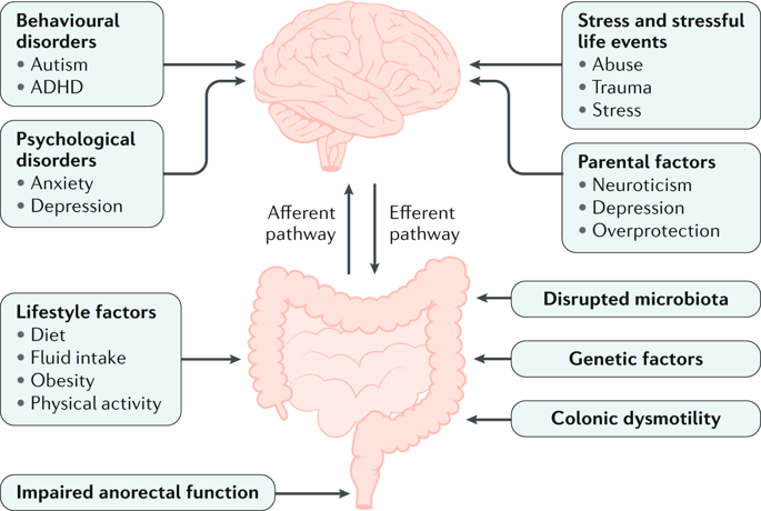 Management Of Functional Constipation In Children And Adults.,Nature ...