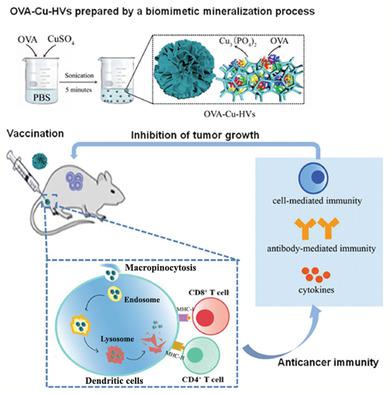 Antigen Inorganic Hybrid Flowers Based Vaccines With