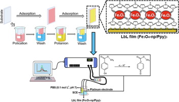 Layer By Layer Nanostructured Films Of Magnetite Nanoparticles And Polypyrrole Towards Synergistic Effect On Methylparaben Electrochemical Detection Applied Surface Science X Mol