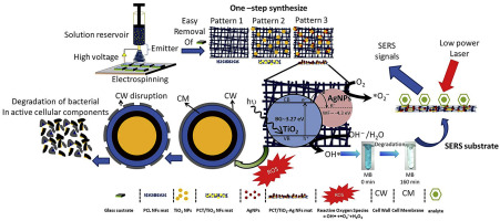 Synthesis Of Ag And Tio2 Modified Polycaprolactone Electrospun Nanofibers Pcl Tio2 Ag Nfs As A Multifunctional Material For Sers Photocatalysis And Antibacterial Applications Ecotoxicology And Environmental Safety X Mol