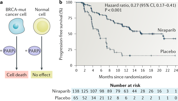 synthetic-lethality-as-an-engine-for-cancer-drug-target-discovery