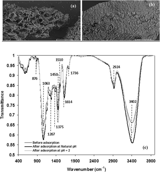 Adsorption Of An Anionic Dye (Congo Red) From Aqueous Solutions By Pine ...