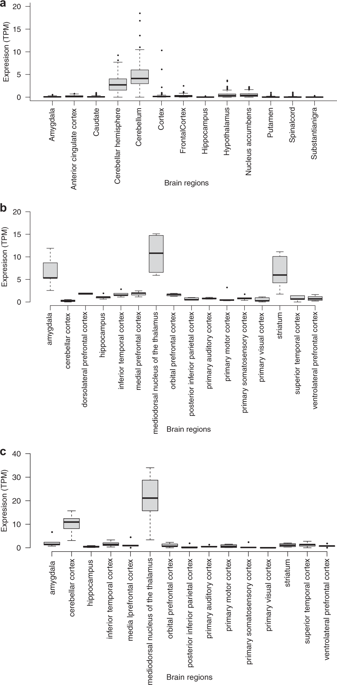 A Hominid Specific Shift In Cerebellar Expression Upstream Retrotransposons And A Potential Cis Regulatory Mechanism Bioinformatics Analyses Of The Mu Opioid Receptor Gene Heredity X Mol