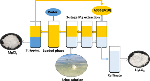 Efficient And Sustainable Removal Of Magnesium From Brines For Lithium ...