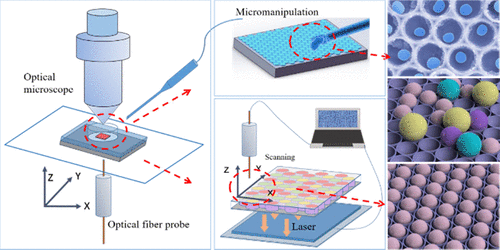 High-Throughput Identification And Screening Of Single Microbial Cells By Nanobowl Array.,ACS ...