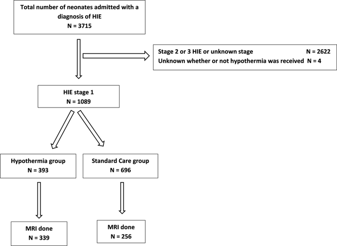 Characteristics And Short Term Outcomes Of Neonates With Mild Hypoxic Ischemic Encephalopathy 9462