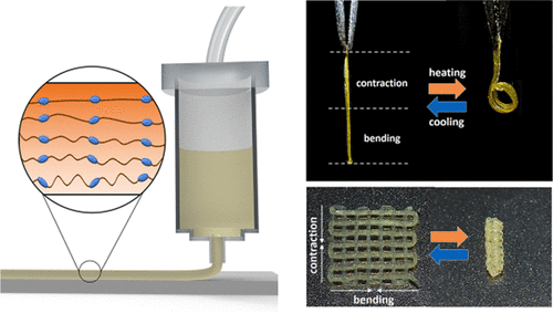 4D Printing Of A Liquid Crystal Elastomer With A Controllable ...