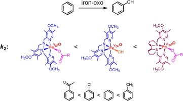 Aromatic Ch Oxidation By Non Heme Iron V Oxo Intermediates Bearing Aminopyridine Ligands Molecular Catalysis X Mol