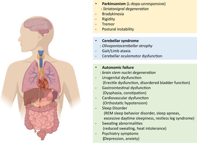 Models Of Multiple System Atrophy.,Experimental & Molecular Medicine ...