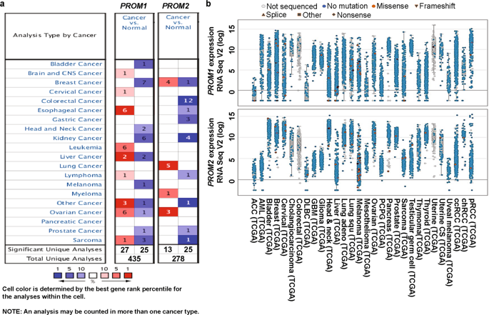 Prom1 And Prom2 Expression Differentially Modulates Clinical Prognosis