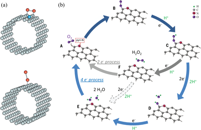 A Review Of Oxygen Reduction Mechanisms For Metal Free Carbon Based Electrocatalysts Npj