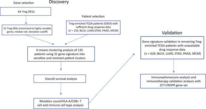 Identification Of An Immune Gene Expression Signature Associated With