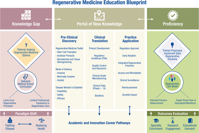 regenerative-medicine-curriculum-for-next-generation-physicians-npj-regenerative-medicine-x-mol