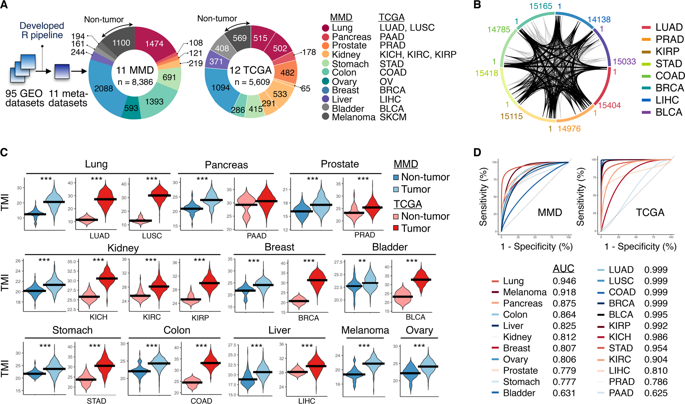 Pan Cancer Analysis Connects Tumor Matrisome To Immune Response Npj Precision Oncology X Mol