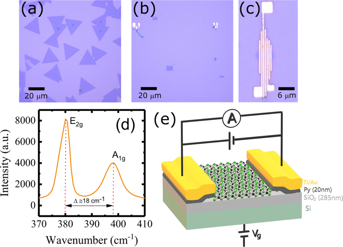 Monolayer MoS2 Field Effect Transistor With Low Schottky Barrier Height ...