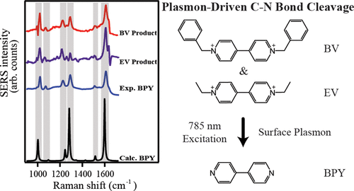 Plasmon Driven C N Bond Cleavage Across A Series Of Viologen Derivatives The Journal Of Physical Chemistry C X Mol