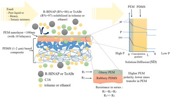 Pdms Membranes Modified By Polyelectrolyte Multilayer Deposition To Improve Osn Separation Of Diluted Solutes In Toluene Separation And Purification Technology X Mol