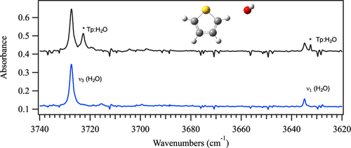 Evidence Of C H O Interactions In The Thiophene Water Complex The Journal Of Physical Chemistry A X Mol