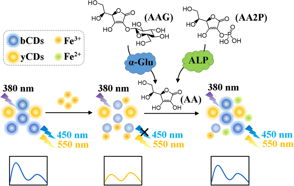 A Redox Modulated Ratiometric Fluorometric Method Based On The Use Of ...